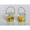 Flower Power Citronella Duftkerze SERA im Glas 8 x 9,2 cm ^ Clearance