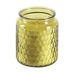 Flower Power Citronellakerze MASSICCIO im Glas 10 x 12 cm ^ Hot