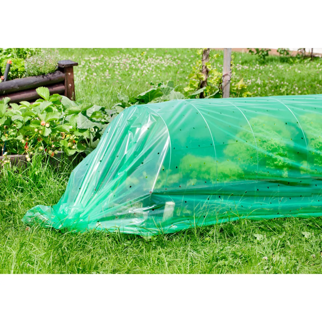 Folien-Tunnel 3,5x1 m ^ Sale