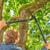 Astschere EnergyCut Pro L Amboss ^ Gardena Outlet