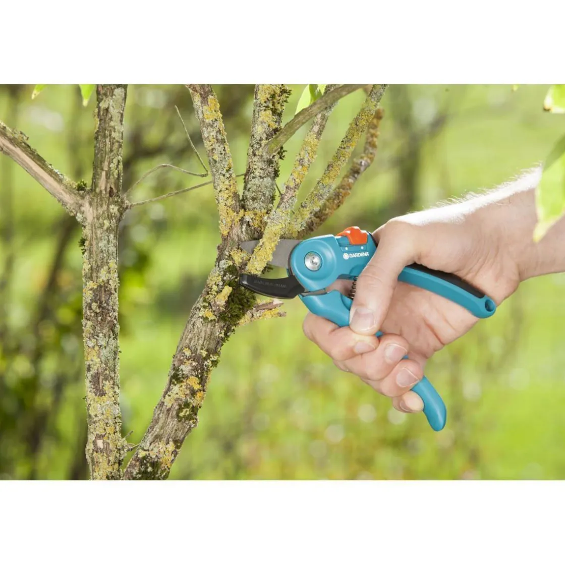 Gartenschere A/S ^ Gardena New