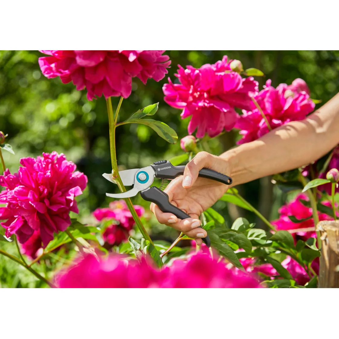 Gartenschere EcoLine ^ Gardena New
