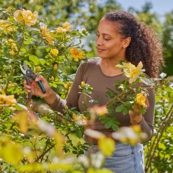 Gartenschere PremiumCut Flex ^ Gardena Sale