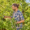 Gartenschere PremiumCut Pro Flex Bypass 24 mm ^ Gardena Discount