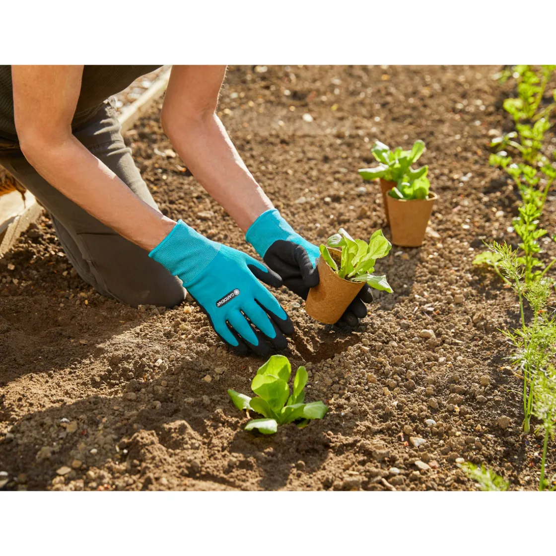 Garten- und Pflegehandschuh türkis ^ Gardena Online