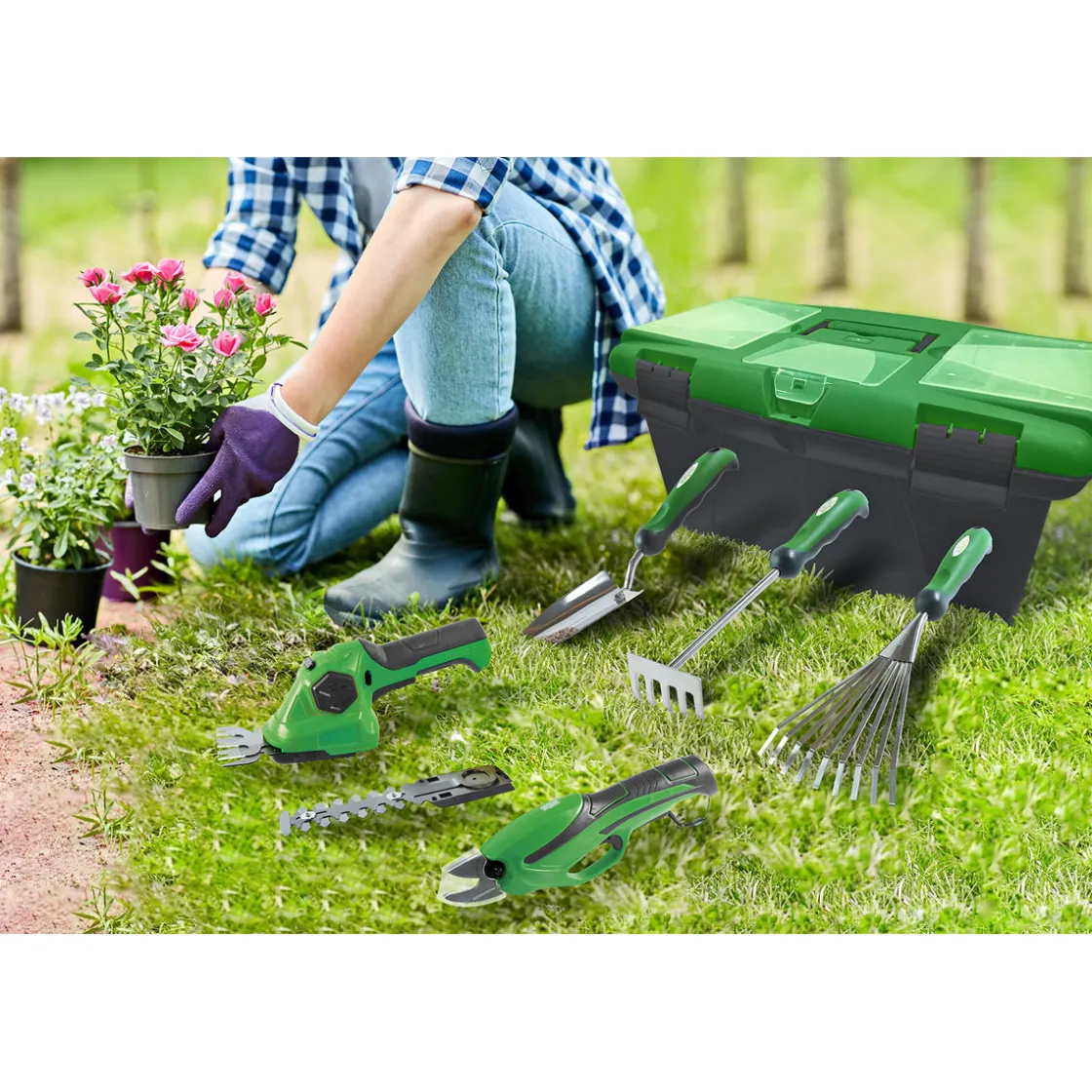 Gartenbox ^ Wingart Online