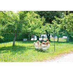 Geflügelnetz PoultryNet Doppelspitze 2500 x 106 cm dunkelgrün ^ New
