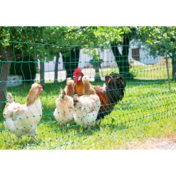 Geflügelnetz PoultryNet Doppelspitze 2500 x 106 cm dunkelgrün ^ New