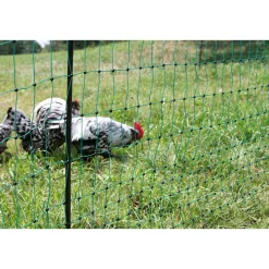 Geflügelnetz PoultryNet Doppelspitze 106 cm m grün ^ Discount