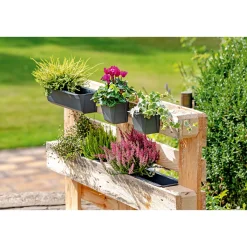 Pflanzgefäß Easy 37 x 14 cm anthrazit ^ Geli Hot