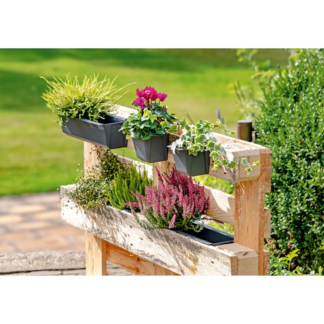 Pflanzgefäß Easy 37 x 14 cm anthrazit ^ Geli Hot