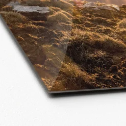 Glas-Art Bench und Horizon 30 x 30 Glasbild ^ Pro-Art Sale