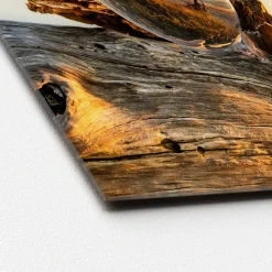 Glas-Art Drop On Wood 30 x 30 Glasbild ^ Pro-Art Online