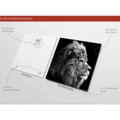 Glas-Art Grey Lion Head 20 x 20 Glasbild ^ Pro-Art