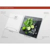 Glas-Art Limon und Ice Cube 30 x 30 Glasbild ^ Pro-Art Sale