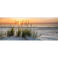 Glas-Art Lonely Dune 30 x 80 Glasbild ^ Pro-Art Clearance