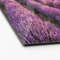 Glas-Art Silence 50 x 50 Glasbild ^ Pro-Art Best