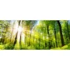 Glas-Art Towards The Sun 50 x 125 cm Glasbild ^ Pro-Art Hot