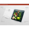 Glas-Art Vintage Herbage III 30 x 30 Glasbild ^ Pro-Art Clearance