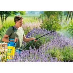 Drucksprüher Hobby-Exclusiv Typ 262 ^ Gloria New