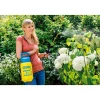 Drucksprüher Prima 3 3 L inkl Messing-Lanze ^ Gloria New