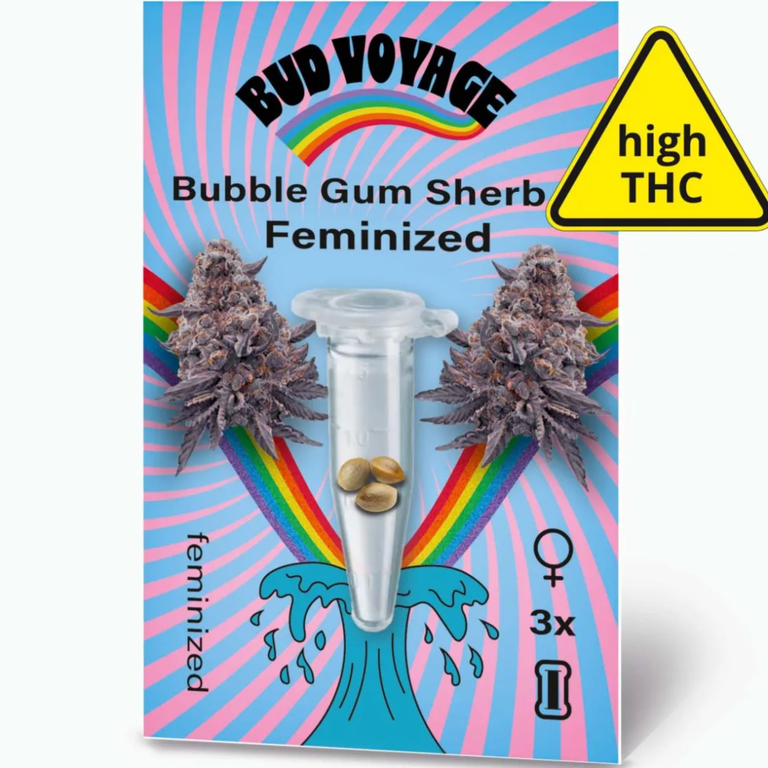 Hanfsamen BudVoyage Bubble Gum Sherb Fem3 Samen ^ Bud Voyage New