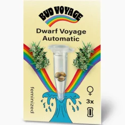 Hanfsamen BudVoyage Dwarf Auto, 3 Samen ^ Bud Voyage
