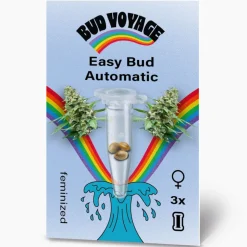 Hanfsamen BudVoyage Hippie Hanf- EasyBud Auto, 3 Samen ^ Bud Voyage Discount