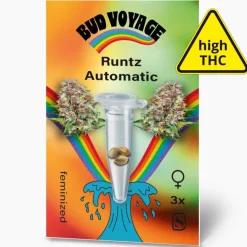 Hanfsamen BudVoyage Runtz Auto, 3 Samen ^ Bud Voyage Best