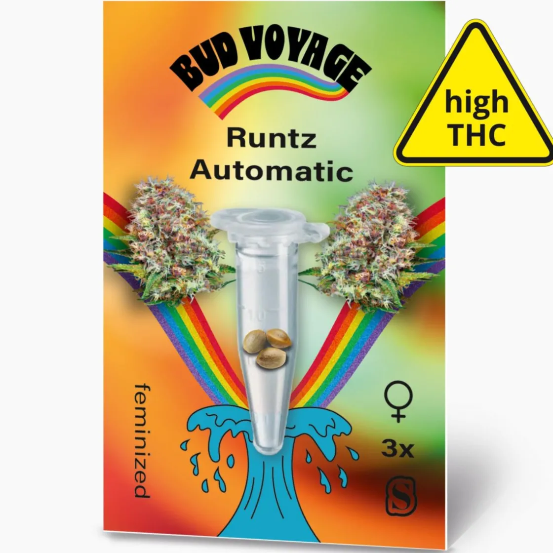 Hanfsamen BudVoyage Runtz Auto, 3 Samen ^ Bud Voyage Best