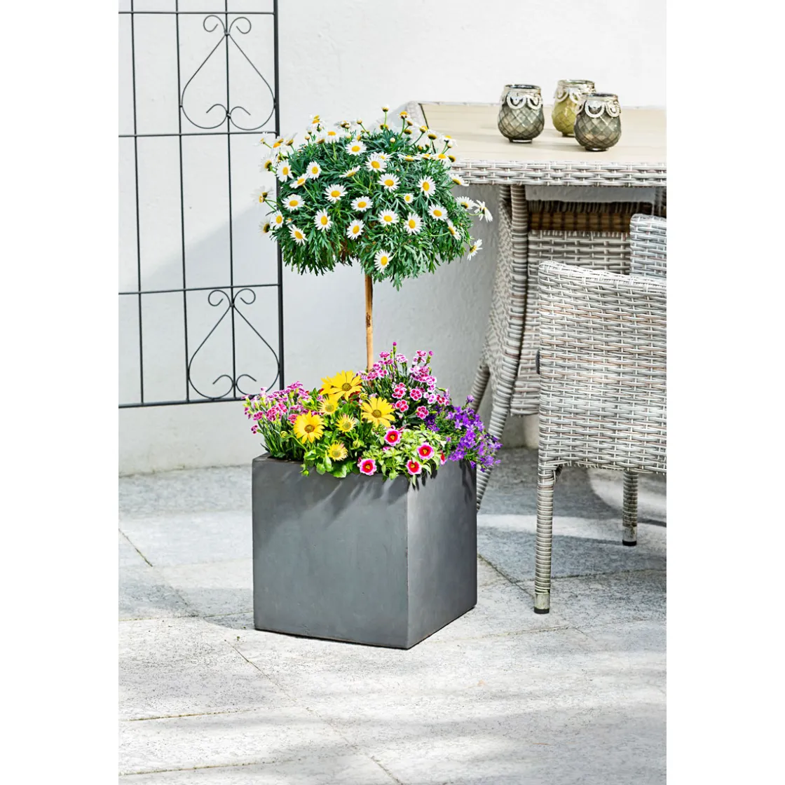 Pflanzkübel Granite ^ Haveson Discount