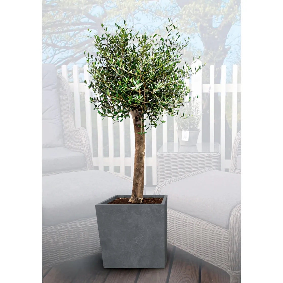 Pflanzkübel Granite ^ Haveson Discount