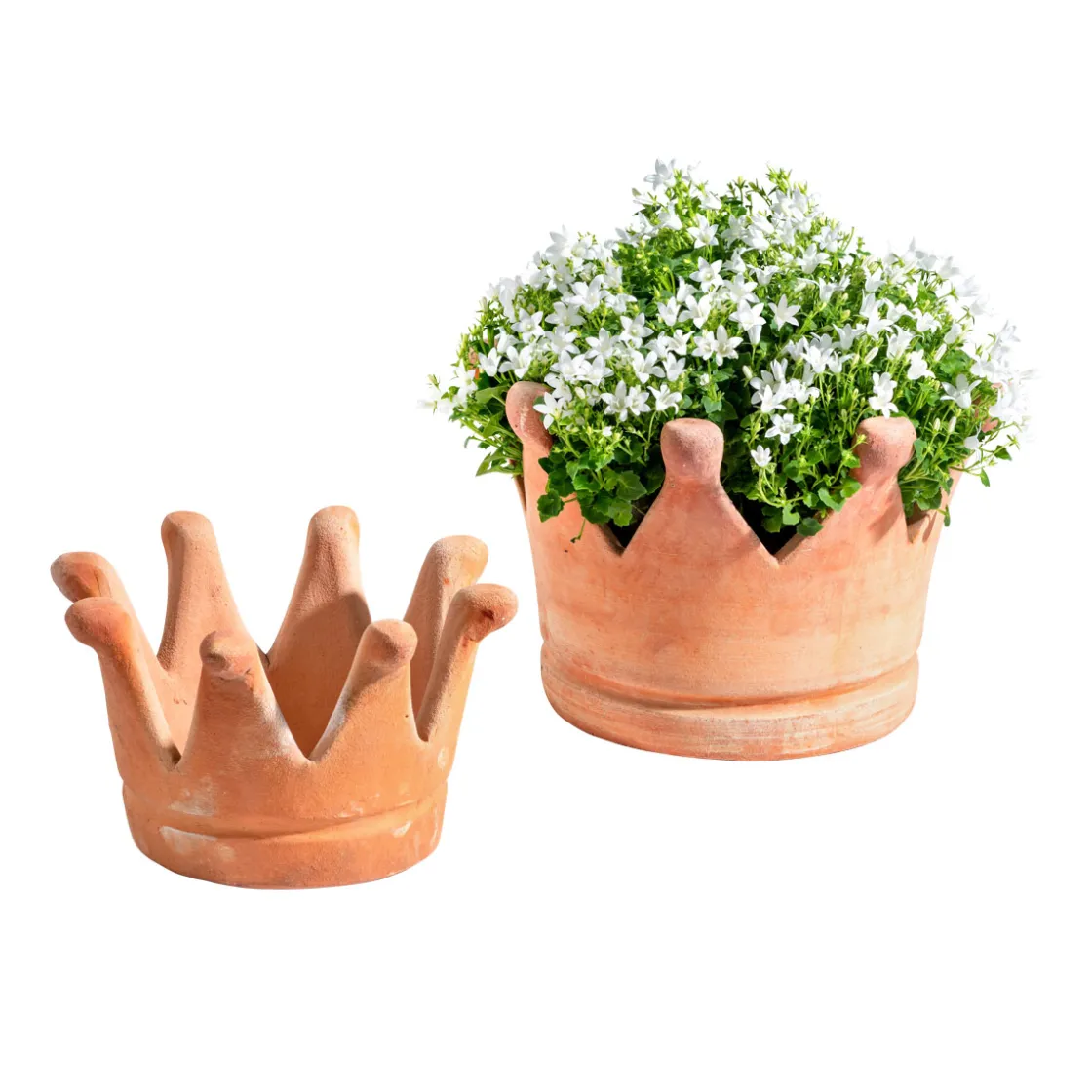 Pflanzschale Krone groß ^ Haveson Discount
