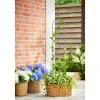 Rankstecker FLORA 151 cm ^ Haveson Hot