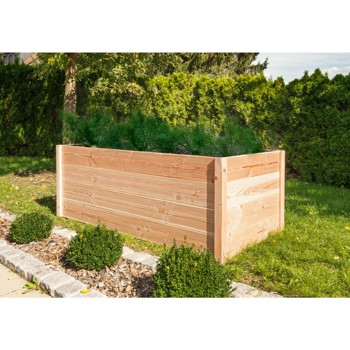 Hochbeet Douglasie unbehandelt78xx109cm ^ Hot