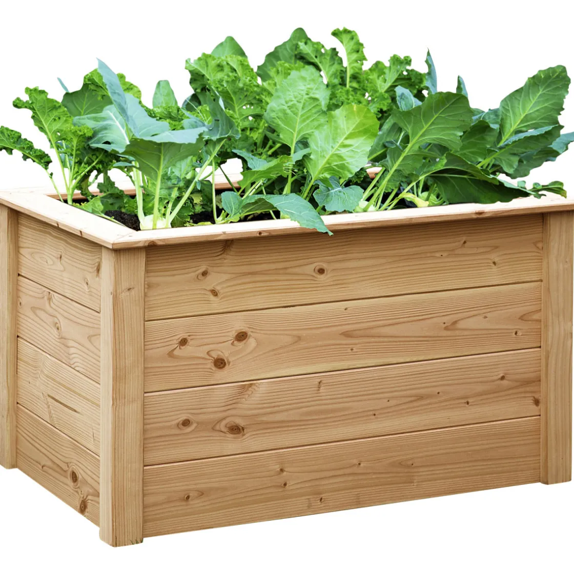 Hochbeet 106x65x60cmDouglasie ^ New