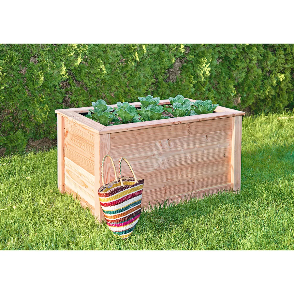 Hochbeet 106x65x60cmDouglasie ^ New