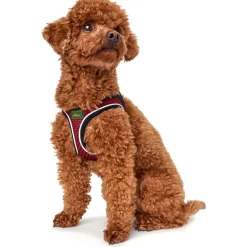 Hundegeschirr Hilo Comfort rot Größe XXS-XS ^ Hunter Sale
