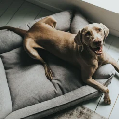 Hundesofa Prag grau 90 x 70 cm ^ Hunter Hot