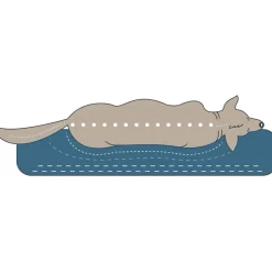 Orthopädisches Hundekissen Merida anthrazit 100 x 70 cm Größe L ^ Hunter Clearance