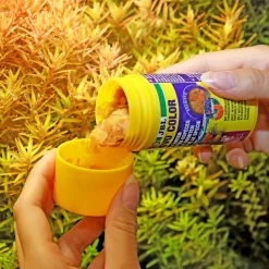PRONOVO COLOR FLAKES M 100ml ^ JBL Sale
