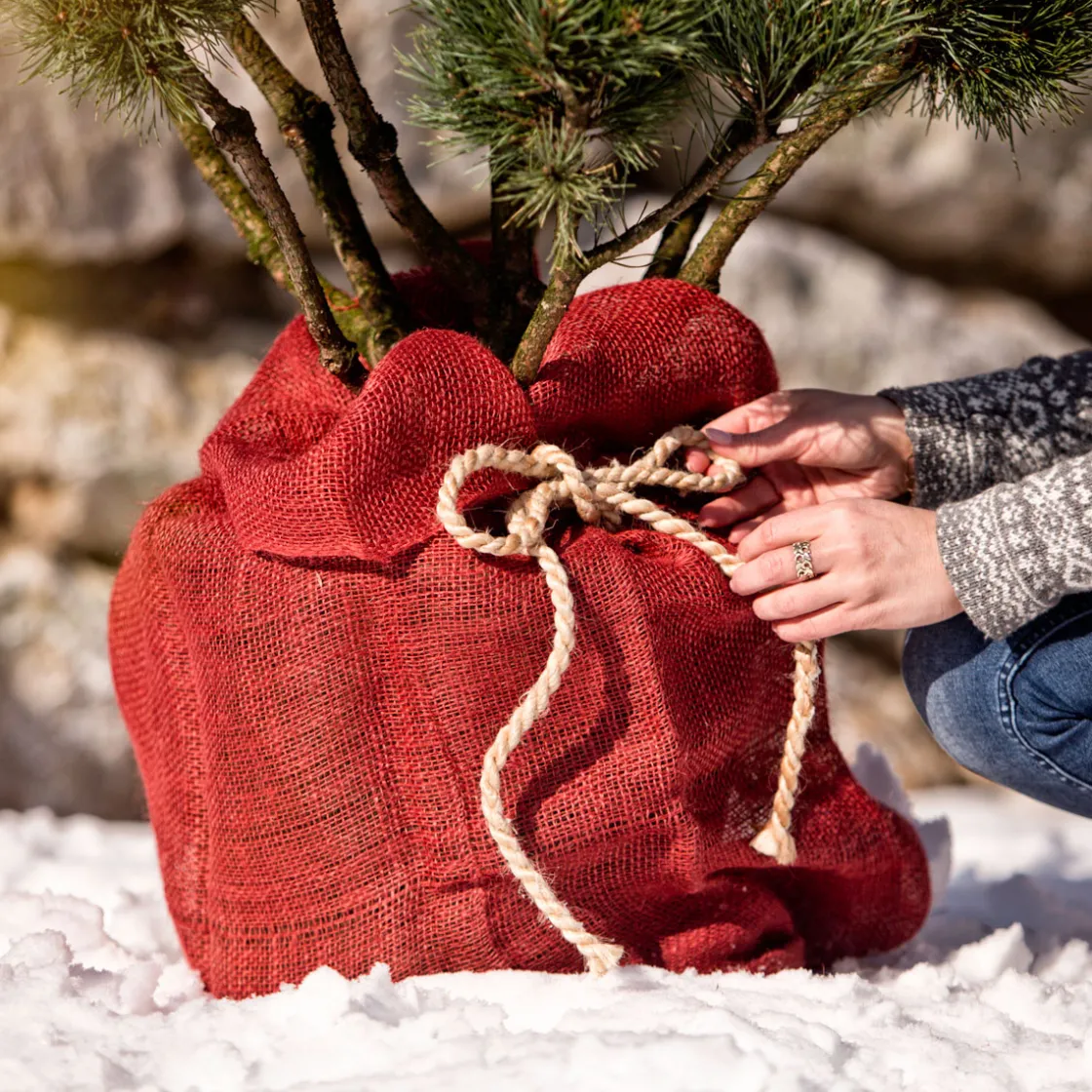 Jute-Sack 70x100 cm, rot ^ Windhager Best