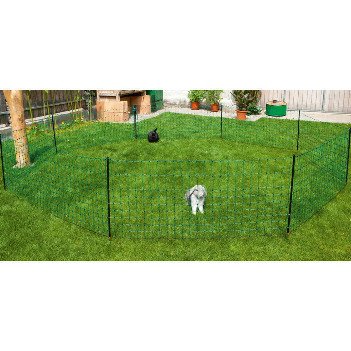 Kaninchennetz 12 m 65 cm Einzelspitze grün ^ Best