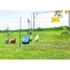 Geflügelnetz-Set 50 m ^ Kerbl Online