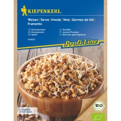 BIO Keimsprossen Weizen ^ Kiepenkerl Sale