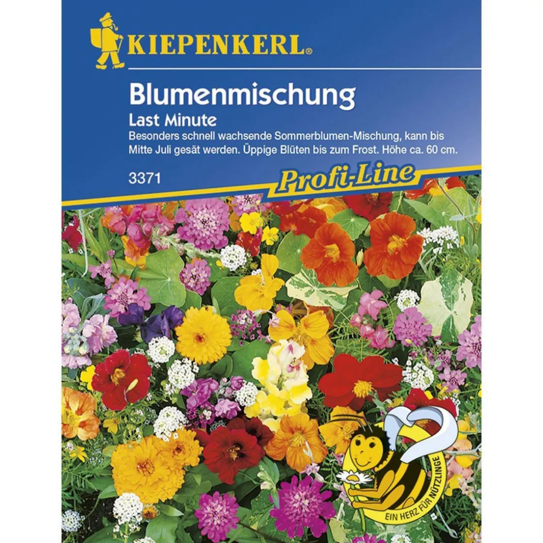 Blumenmischung Last Minute Profi-Line ^ Kiepenkerl Online