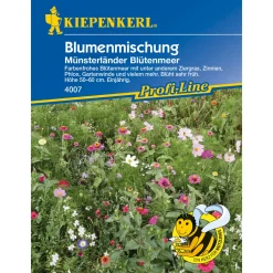 Blumenmischung Münsterländer Blütenmeer ^ Kiepenkerl Discount