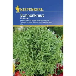 Bohnenkraut einjährig ^ Kiepenkerl Online