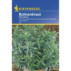 Bohnenkraut mehrjährig ^ Kiepenkerl