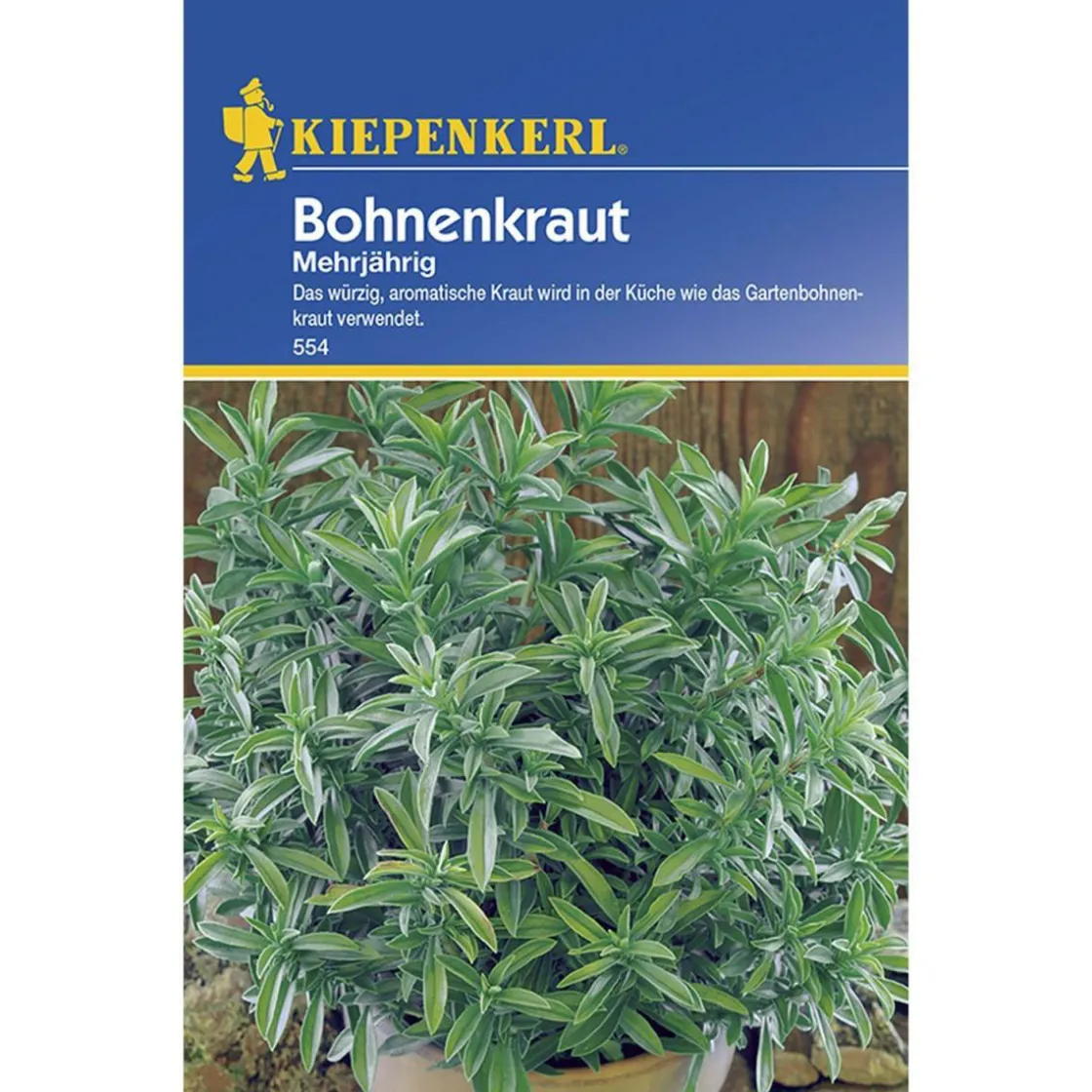Bohnenkraut mehrjährig ^ Kiepenkerl
